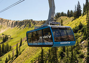 Snowbird Scenic Tram Rides for Summer Holiday