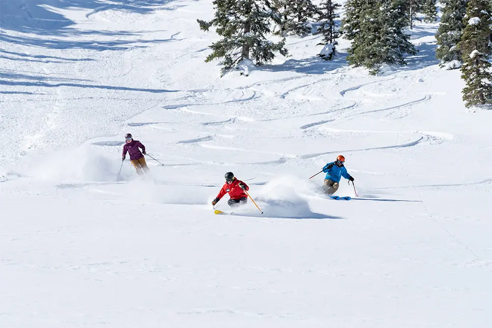 Guided Inbounds Powder Skiing at Snowbird, Utah