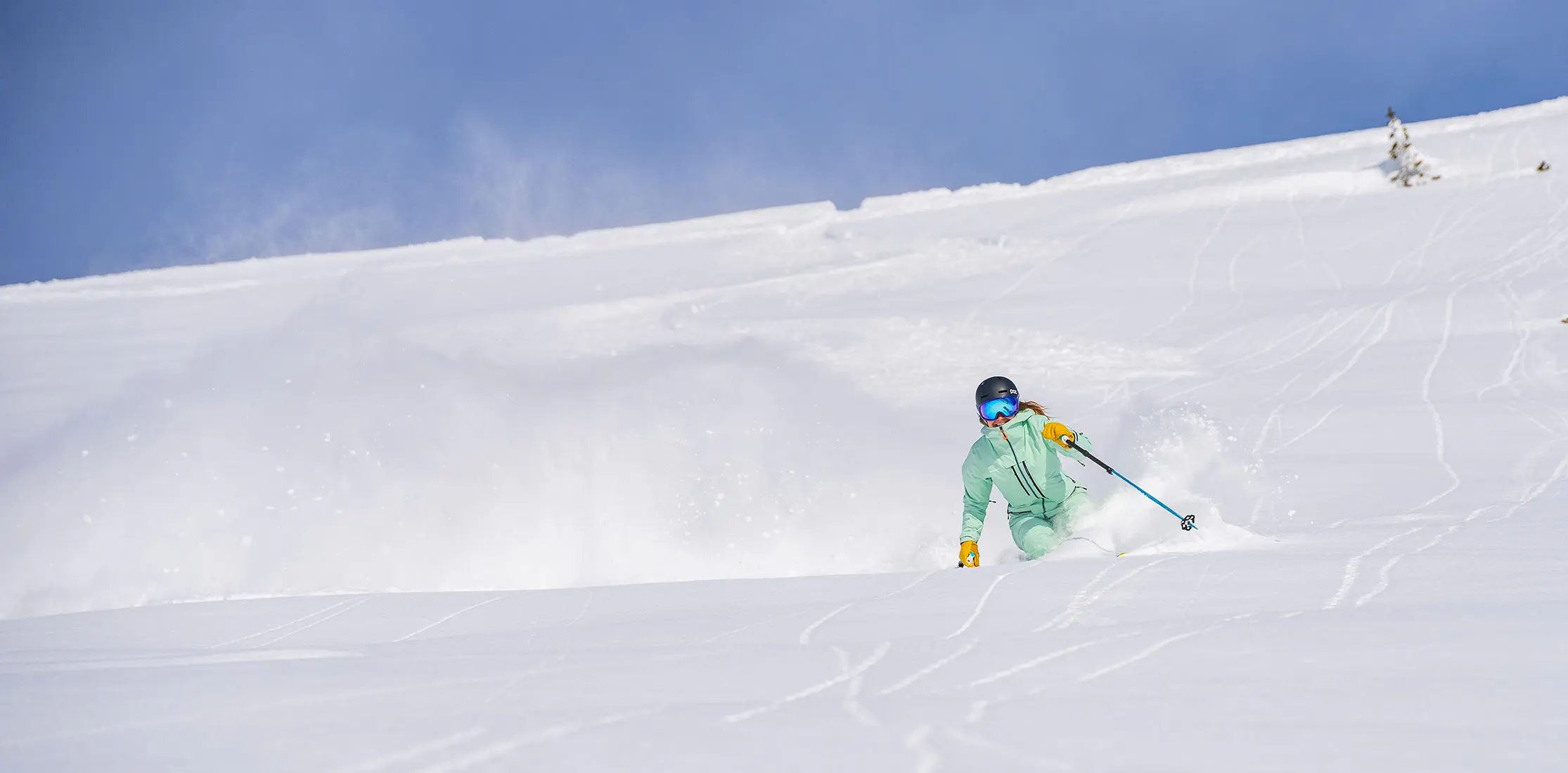 hero of skier in untouched powder in Mineral Basin in spring powder.