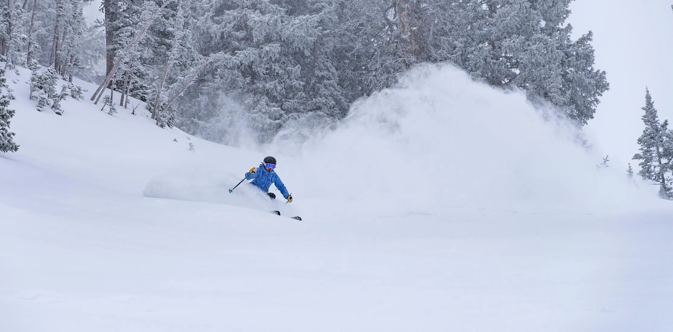 Skier in deep powder at Snowbird
