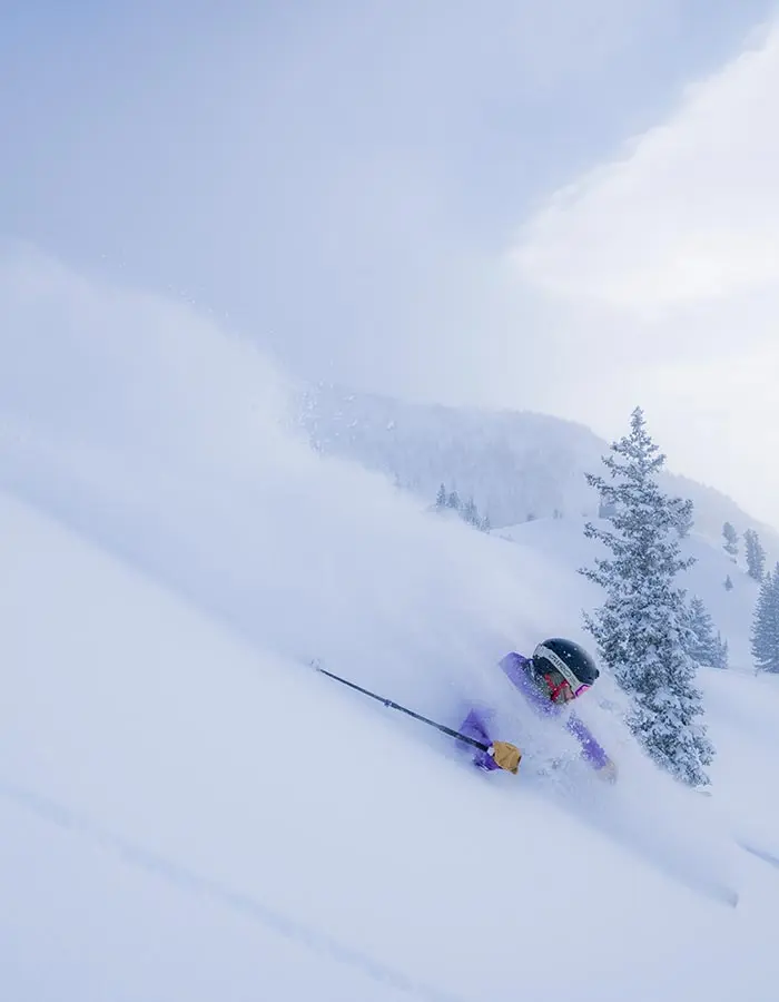 Mobile hero of a skier with a Snowbird Season Pass skiing deep powder during a storm