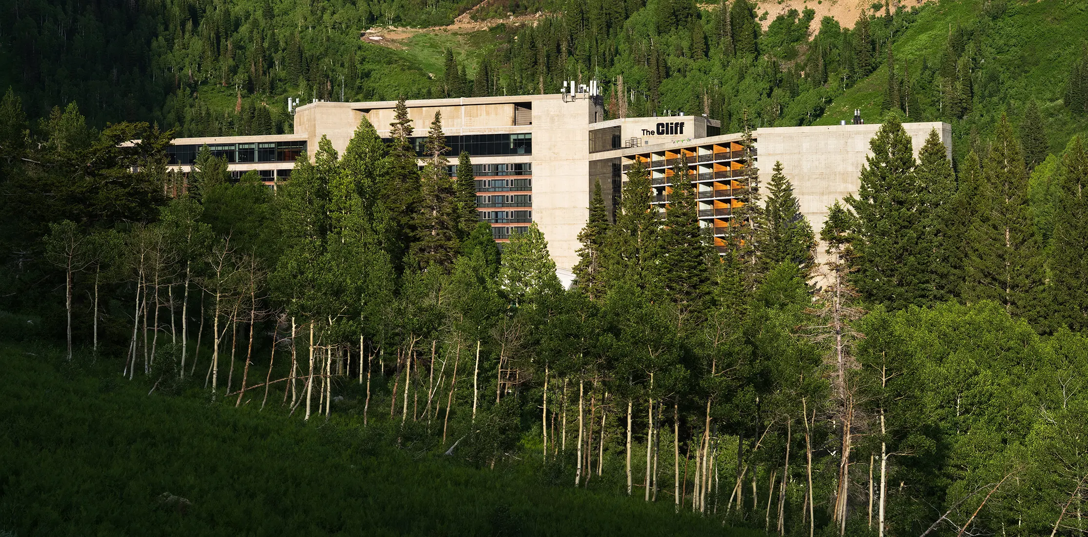 The Cliff Lodge at Snowbird with trees surrounding it during summer- hero