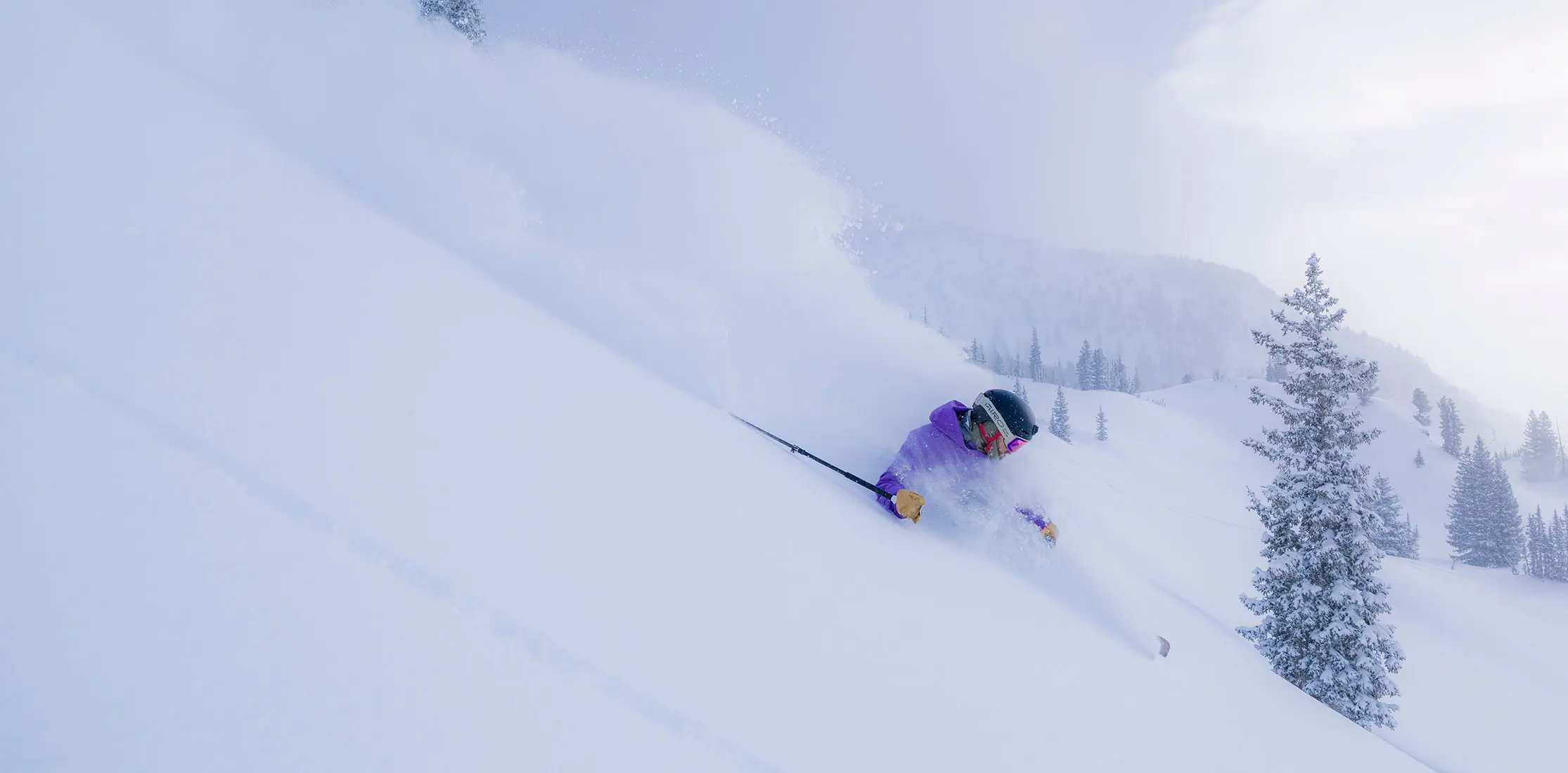 Skier in powder in mineral basin with a Snowbird Season Pass