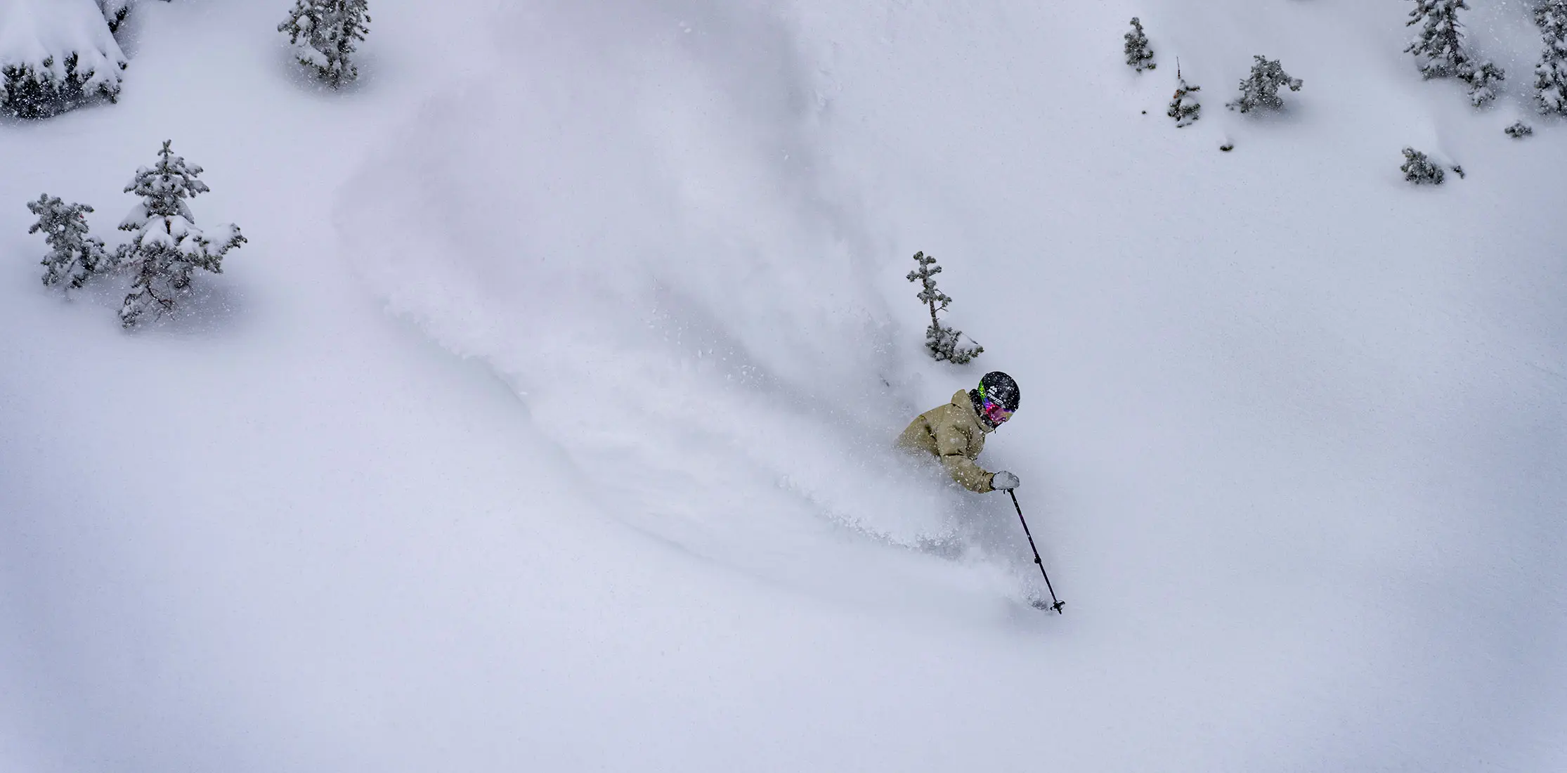 Skier with a Snowbird Season Pass makes a powder turn in the trees