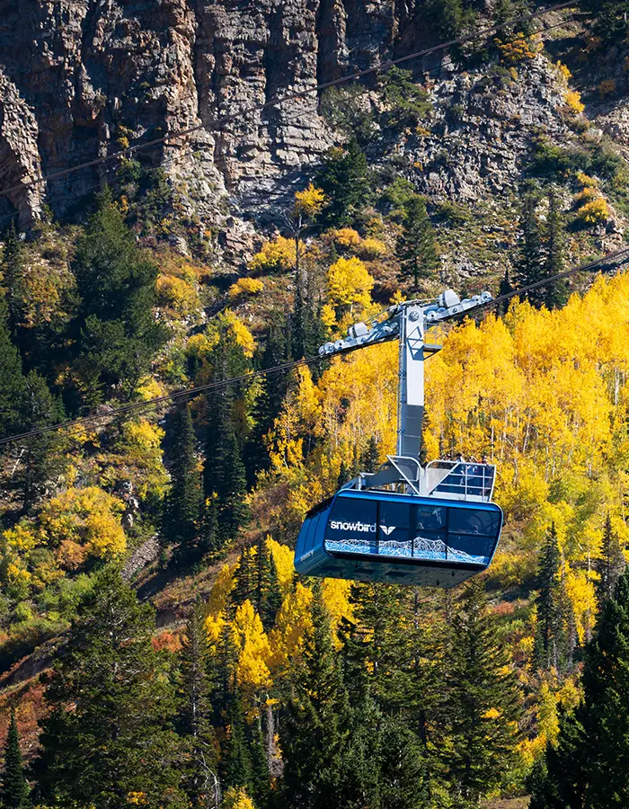 Tram at Snowbird with fall leaves in the background